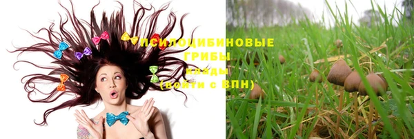 кокс Новозыбков
