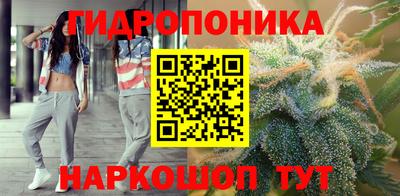 дмт Дубна