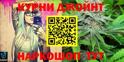 крисы Жуковский