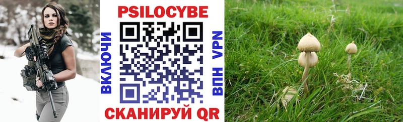 Галлюциногенные грибы Psilocybe  KRAKEN как зайти  Крымск  как найти закладки 