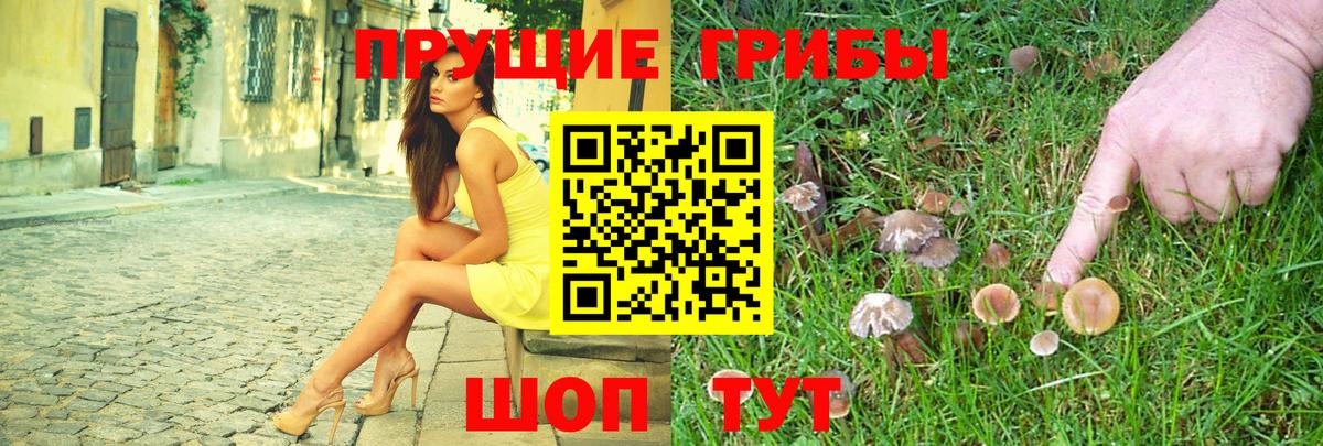 Галлюциногенные грибы Psilocybe  Галлюциногенные грибы Cubensis  купить закладку  Вход с VPN  Крымск 