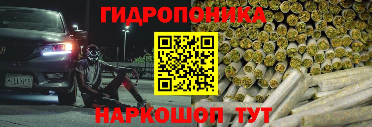 Канабис ГИДРОПОН  Каннабис Amnesia  Марихуана планчик  Крымск  Вход с VPN 
